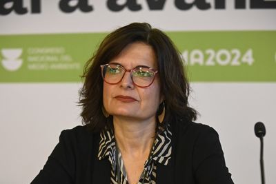 Yolanda Fulgueiras